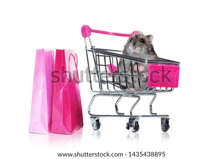 Little mouse sitting in the shopping trolley against white background