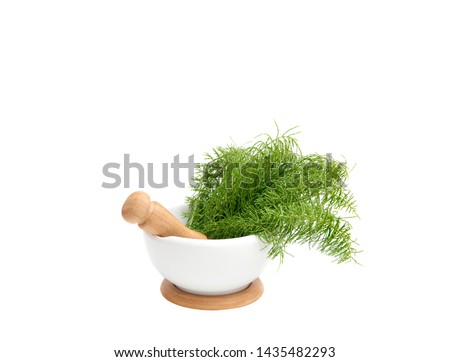 Bunch of herbal plant Equisetum arvense the field horsetail or common horsetail in white mortar and tea infusion next to it, yellow background with copy space. Herbal remedy concept. Royalty-Free Stock Photo #1435482293