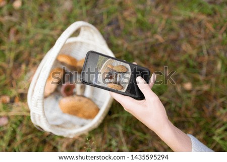 technology, nature and leisure concept - close up of woman photographing mushrooms in basket by smartphone in autumn forest