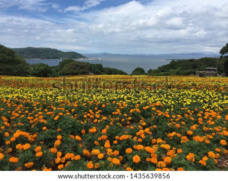 Beautiful landscape at Nokonoshima Island, Fukuoka, Japan