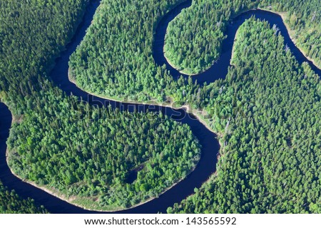 Aerial view forest rive in summer.