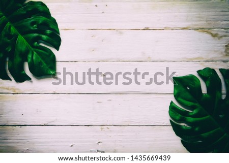 Tropical plant on white old wooden background. Conceptual, copy space