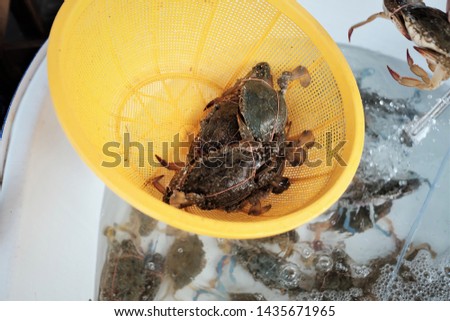 Fresh crabs in a yellow basket