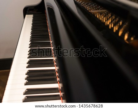 the white concert piano keyboard