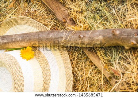 Rustic style, summer background screensavers. A straw hat with a flower hangs on the background of an old hayloft with dry grass. Panama under the wooden crossbar on the background of straw