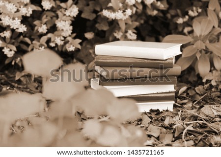 Bunch of books in the forest, sepia photography