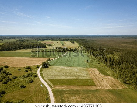 country road in green forest and fields drone aerial image. birds eye view