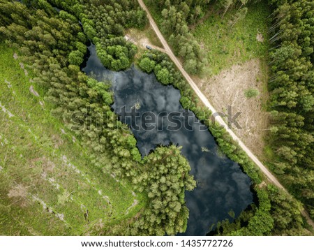 country lake in green forest. drone aerial image from birds eye