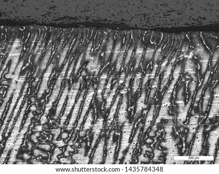 Microstructure of ASTM A297
Grade N08605 HU U bend pipe. A solution of 1 part H2O2, 2 parts
HCl, and 3 parts H2O by volume was used to etch the specimens. Royalty-Free Stock Photo #1435784348