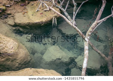 clean water between beautiful rocks