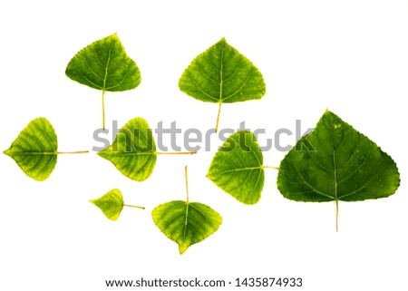 Green sheets, different shapes. Built in a row. On white background.