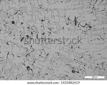 Microstructure of steel casting (3.12% carbon). Royalty-Free Stock Photo #1435882619