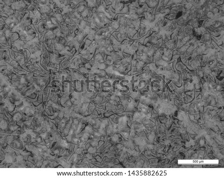 Microstructure of steel casting (3.12% carbon). Royalty-Free Stock Photo #1435882625