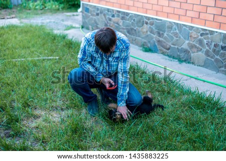 A man takes pictures on a mobile phone of a small naughty cheerful puppy of a German shepherd on the lawn near his house.