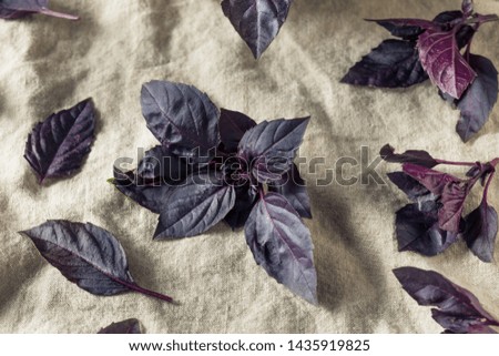 Organic Raw Purple Opal Basil Ready to Cook With