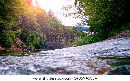 mountain river, landscape in the Carpathian Mountains, view on the rock