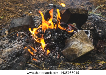 bonfire at sunset in the forest