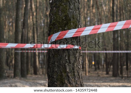 Prevention of a red-white ditch on trees in the forest