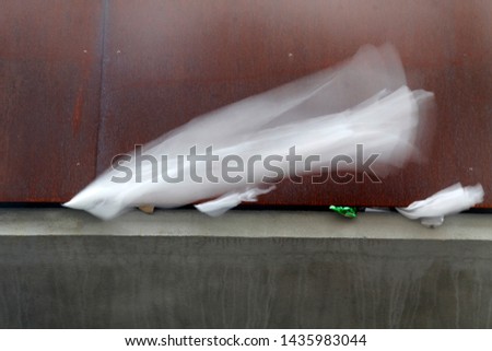 White plastic bag trapped in a wall