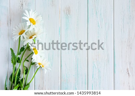 Frame for text with daisies. Daisies on a light wooden background. Design basis for greeting card. Floral banner, background. View from above