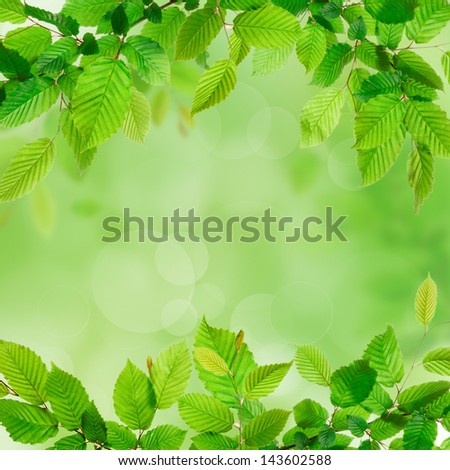 Fresh green leaves background texture