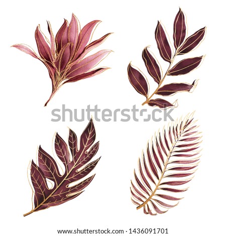 Set of tropical plants. Botanical watercolor red exotic leaves with gold outline.