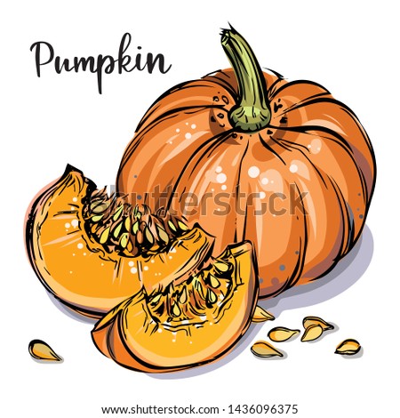 Hand drawn detailed vector illustration with pumpkin, pieces, seeds and sign