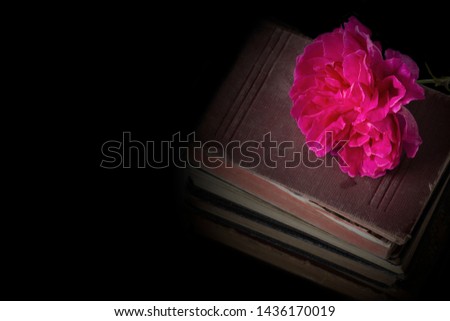 Rose flower on top of a pile of old antique books.  On a black background.