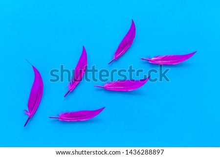 design for blog or desktop with colorful bird feathers on blue background top view mockup