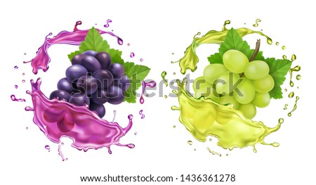 Red and white wine grapes and juice splash. Re.alistic vector icon set Royalty-Free Stock Photo #1436361278