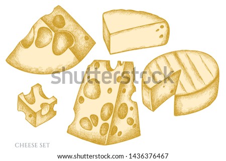 Vector set of hand drawn pastel cheese