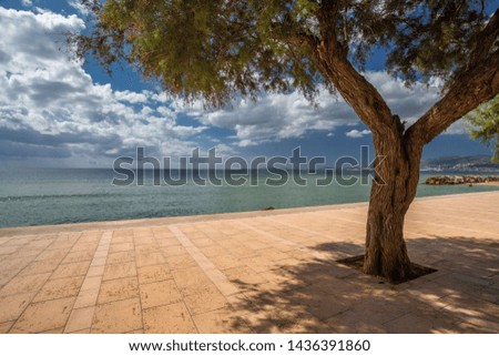 Great sea view - Palma de Mallorca