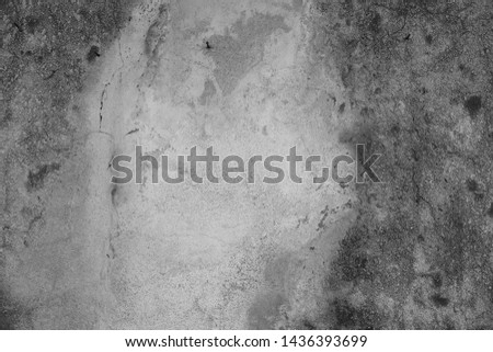 The grunge background of the cement wall.