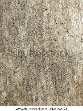 the background of the wooden board is naturally textured, the picture is less focused