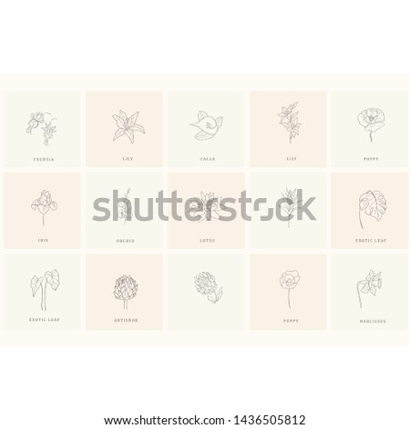 Set of floral design elements: plants, branches, leaves. Line hand drawn elements for logo, emblem, decoration. Royalty-Free Stock Photo #1436505812