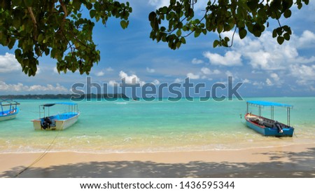 Bharatpur Beach Neil Island, Andaman Royalty-Free Stock Photo #1436595344
