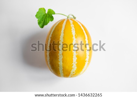 Oriental melon Yellow Melon Golden melon White background