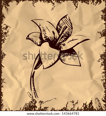 Lily flower isolated on vintage background
