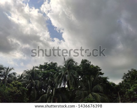 Awesome cloudy sky with trees