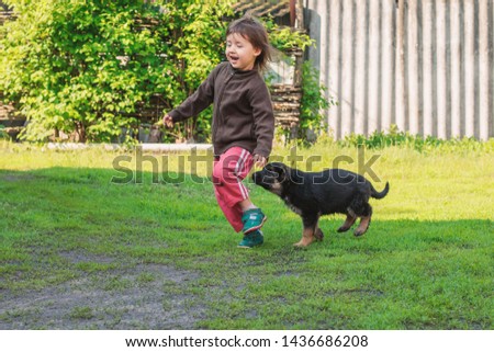 Happy girl playing with dog active game on lawn, village, day, open air