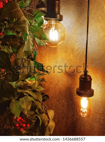 Inspiring decoration with lamp and plant