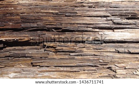 texture and background of old and wooden board