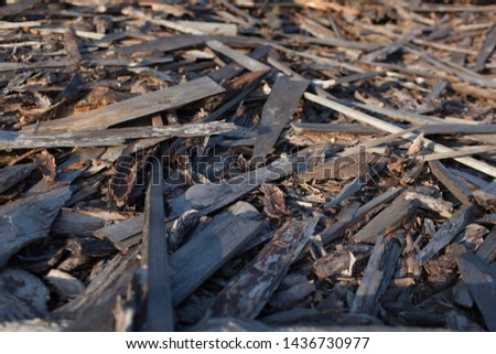 Abstract background with felled wood