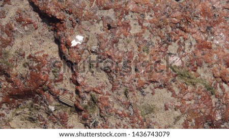 texture and background of strong stone in the daytime