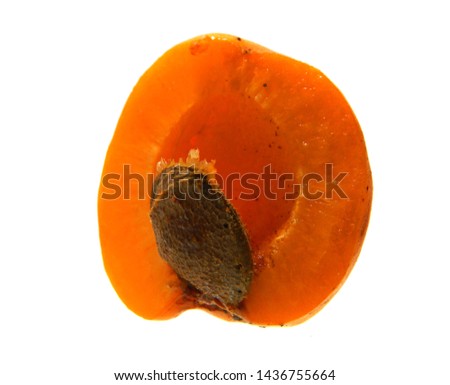                                apricot isolated on white background