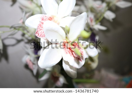 Beautiful white fake orchid on the table