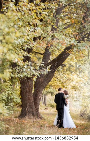 Wedding couple. Young bride and groom embracing in the autumn park.  Newlyweds outdoor