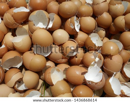 Heap of cracked egg shells which are prepared for composting