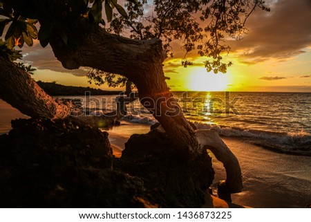 Beautiful sunset on Hawaiian beach