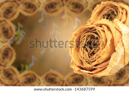 dual beautiful dry white rose with frame on blur note bokeh background